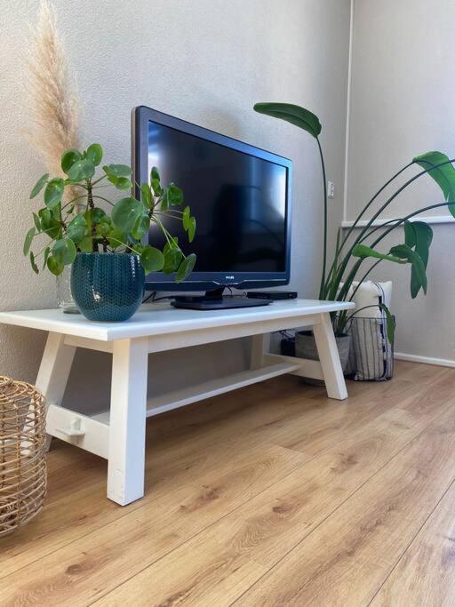 Guesthouse Katwijk Aan Zee Casa vacanze *